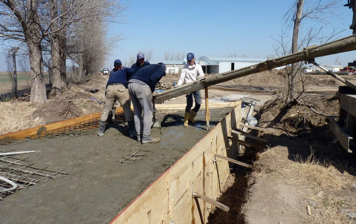 alonso bongiovanni 5 (FILEminimizer)