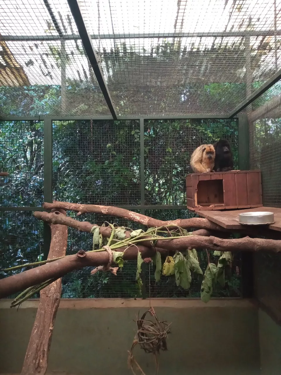 473810_whatsapp-image-2021-12-16-at-12.30.08