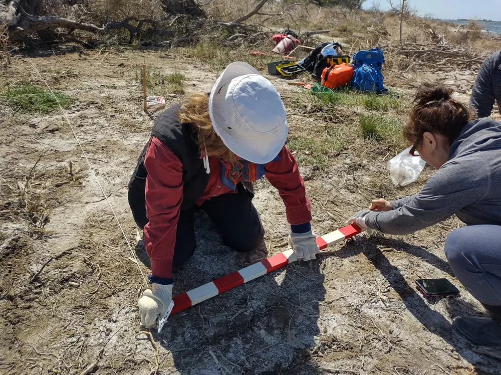 Inv arqueologicas laguna 7