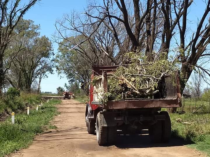 FB_IMG_1546189649367