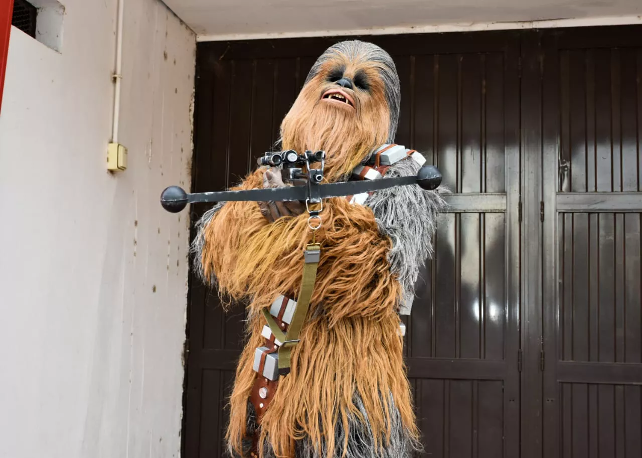 128643_img-20220924-wa0086