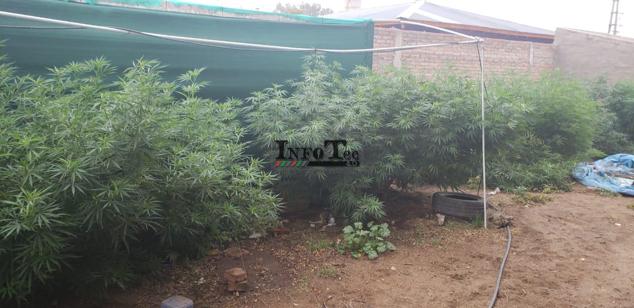 77be91a7-72c2-4185-b1ab-db31b183839b