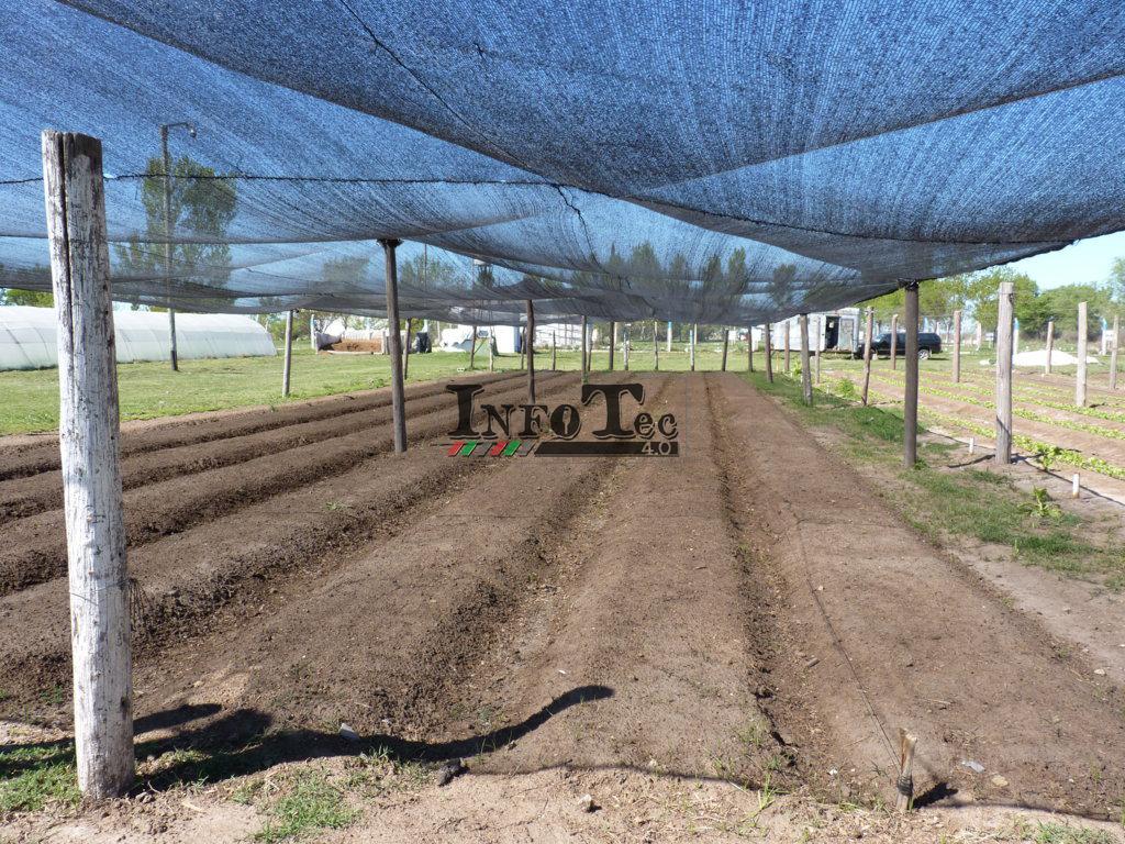 P1280321 (FILEminimizer)