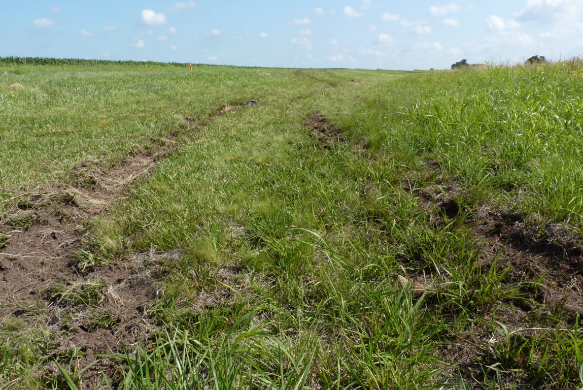 P1460793 (FILEminimizer)