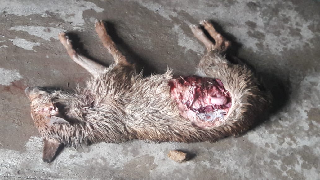 ec02c555-5358-4020-bde7-1b09c94f531d