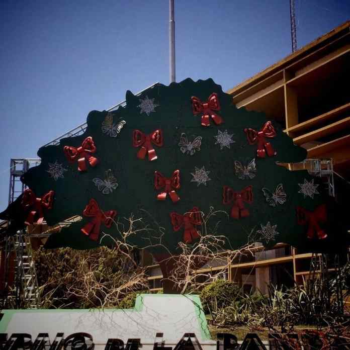 CALDEN DE NAVIDAD 1
