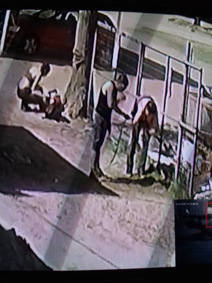 44324909_10161457475795393_3171388015821979648_n