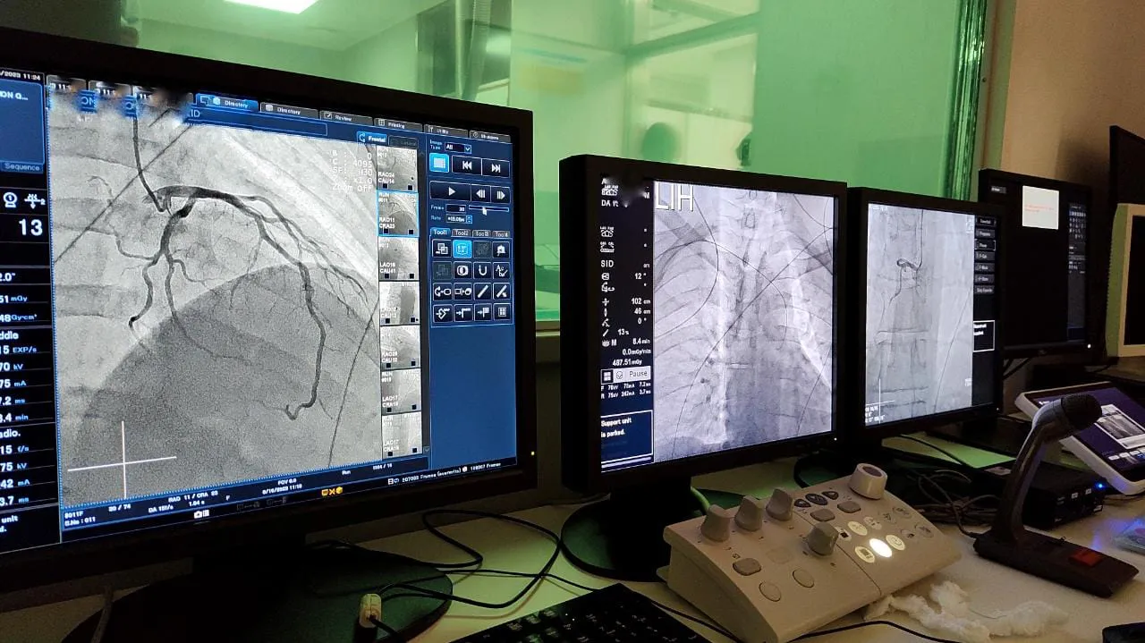 142802_whatsapp-image-2023-08-16-at-16.46.35--1-