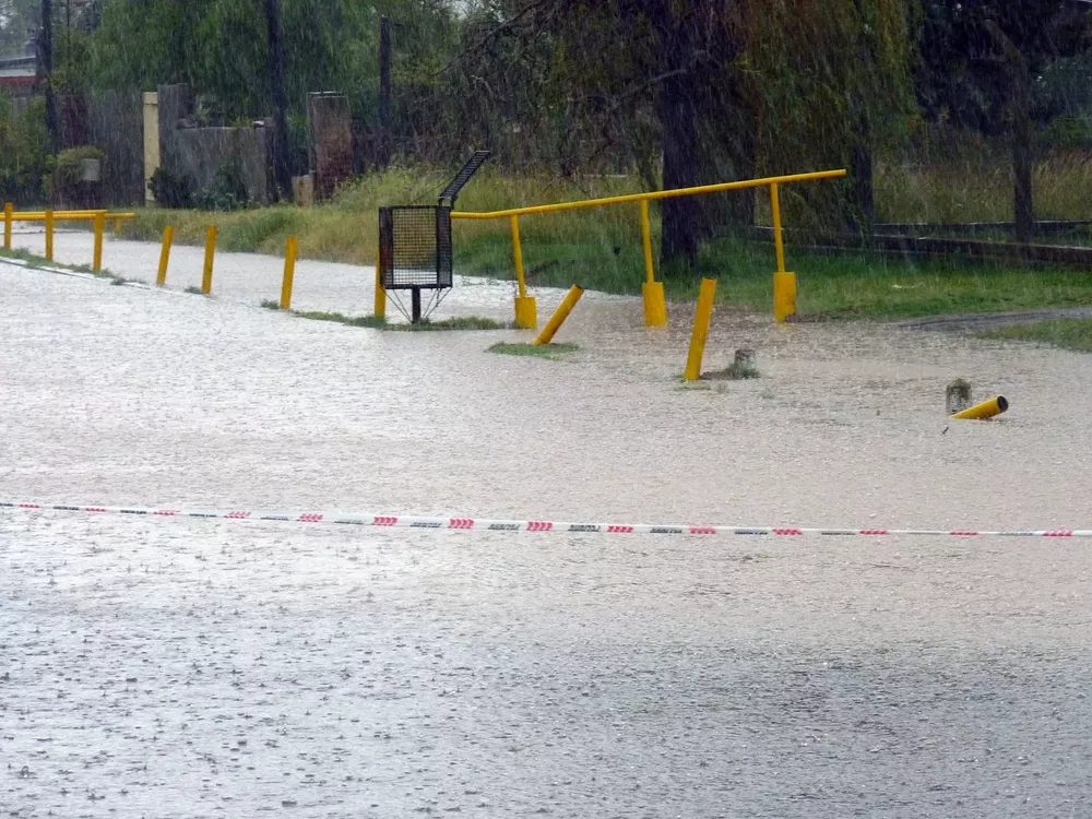 canales 5 (FILEminimizer)