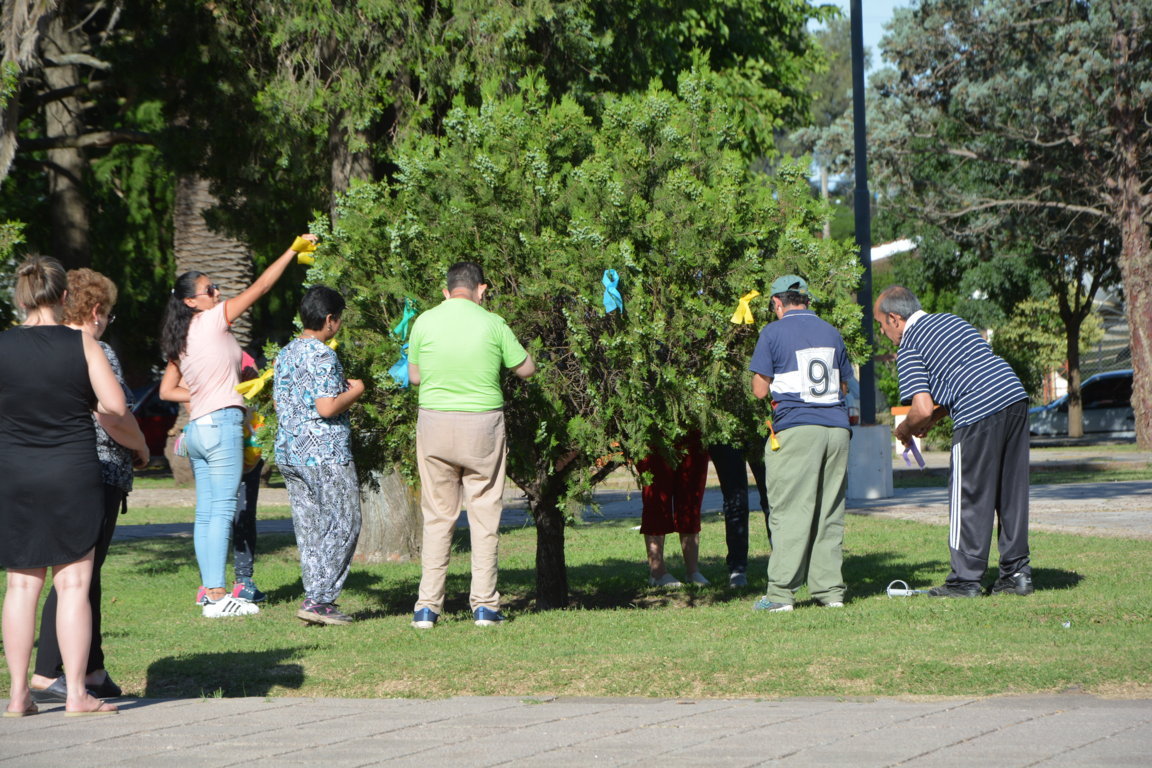 DSC_8045 (FILEminimizer)