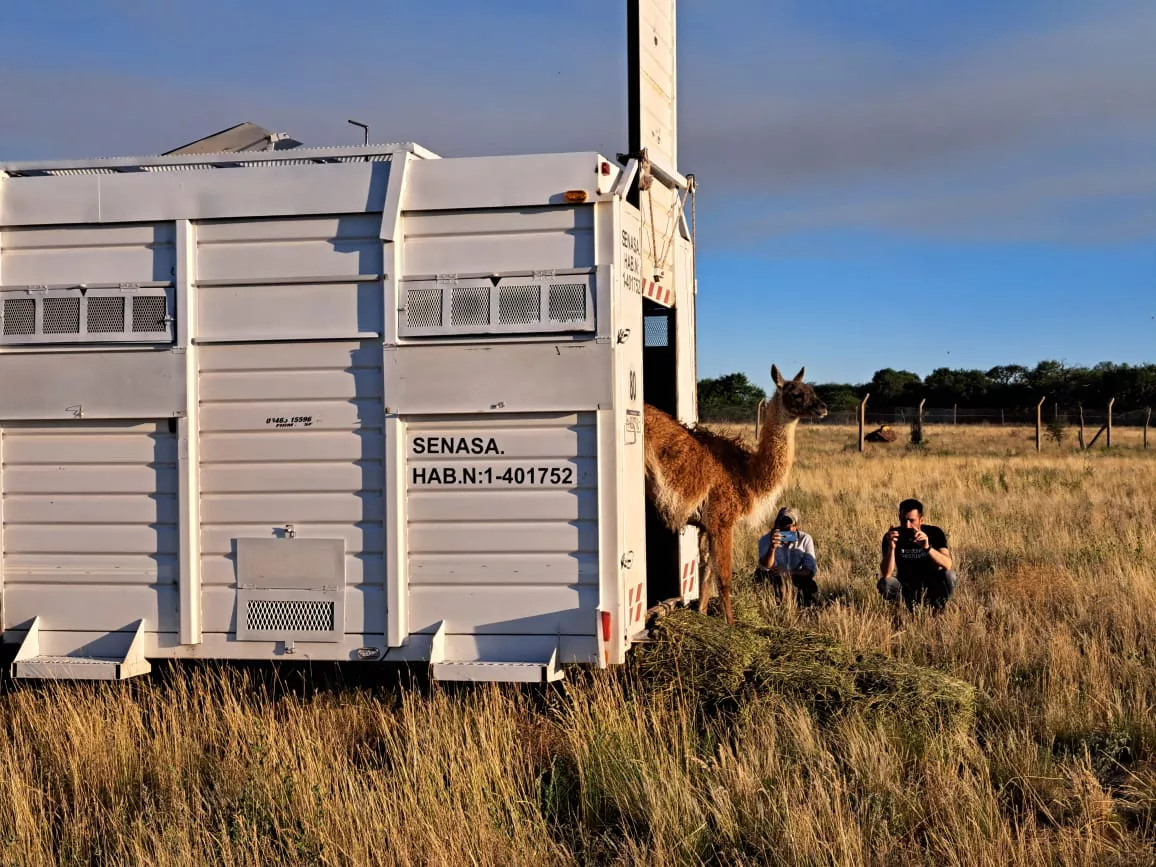 189435_whatsapp-image-2022-12-21-at-15.54.21