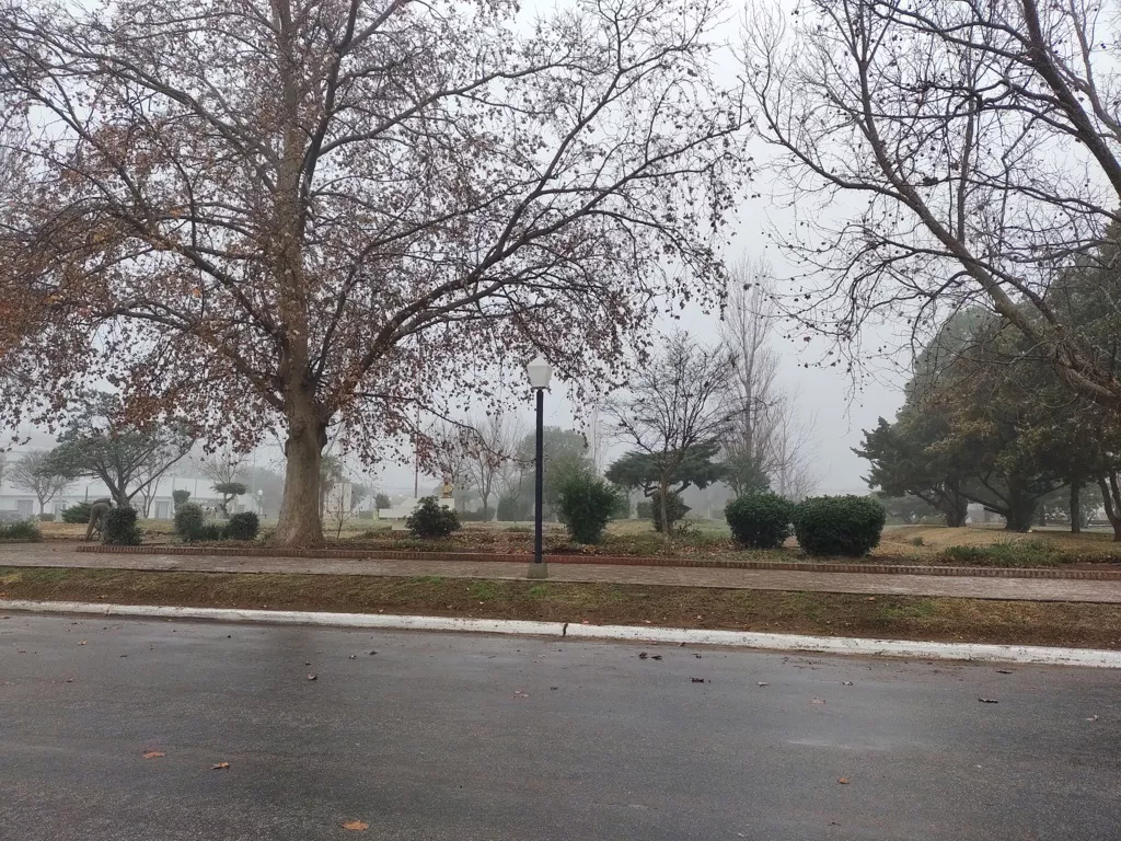 IMG_20210708_114806255 (FILEminimizer)