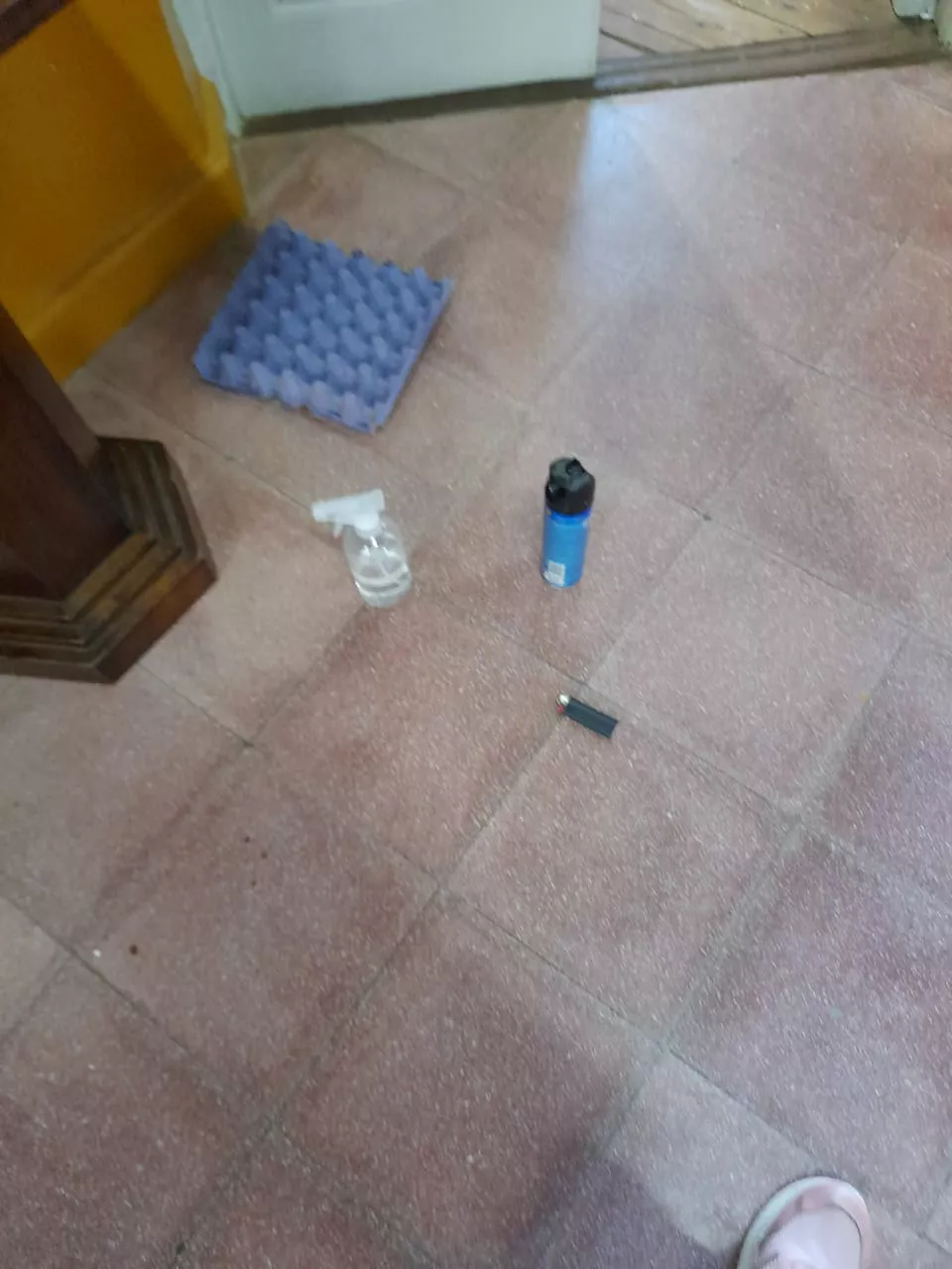 VANDALISMO ESCUELA VAN PRAET 5