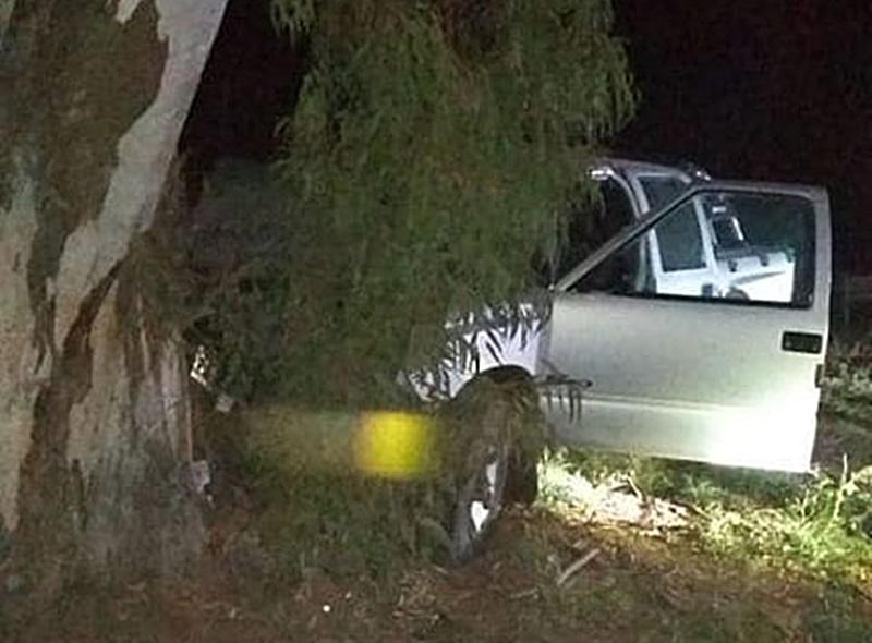 107733713_3636728759674755_7700638065711531020_o