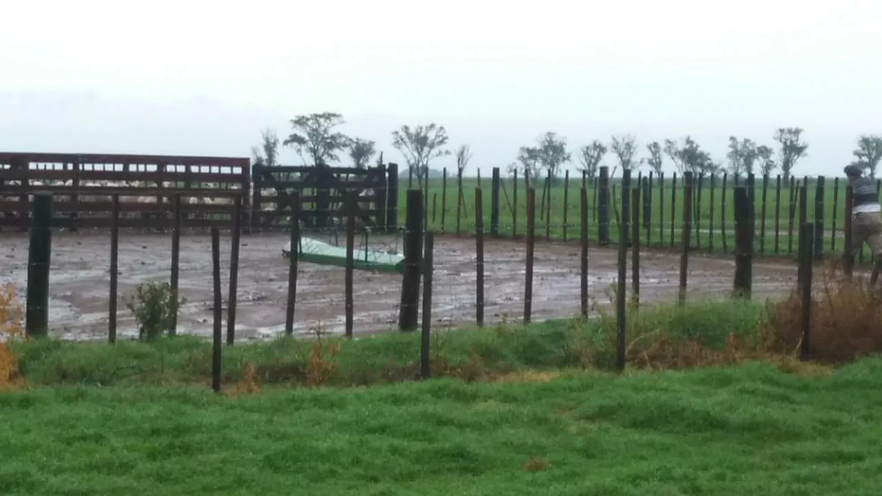 7ccb3fad-10d5-4cc8-8335-99cf45cc85b6