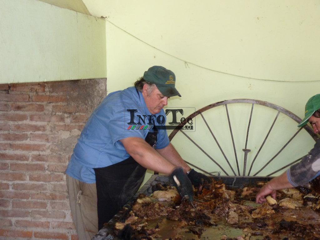 P1240193 (FILEminimizer)