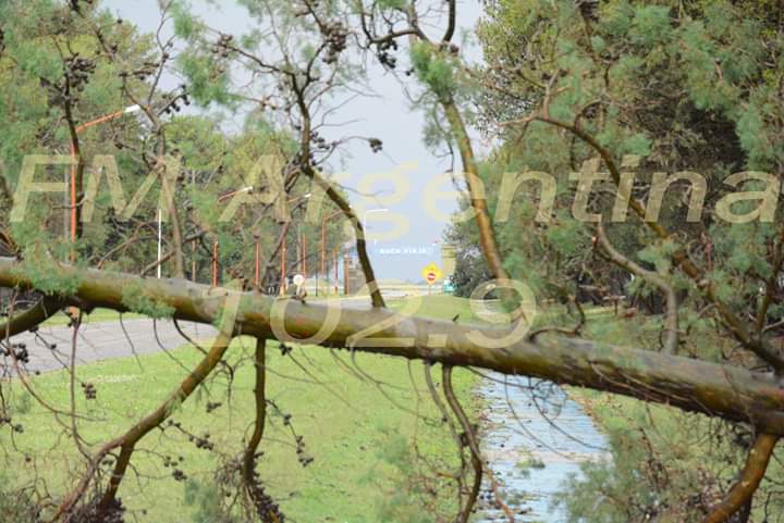 FB_IMG_1544525157609