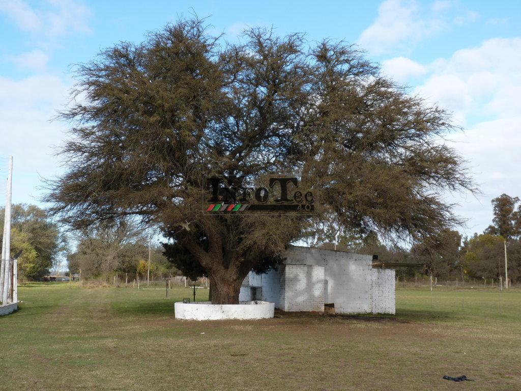 P1210209 (FILEminimizer)