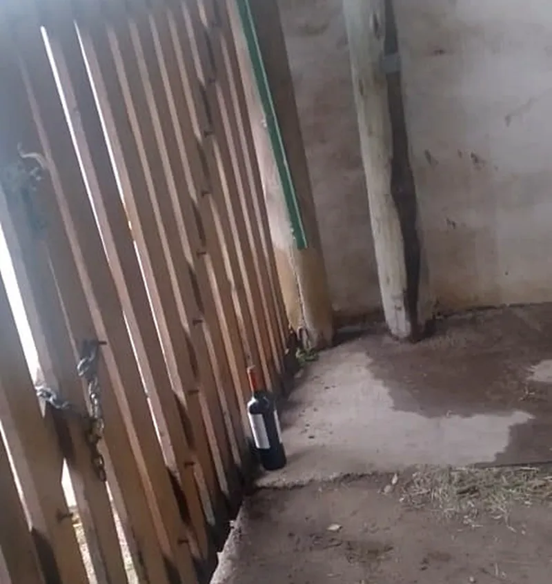 3448be4a-388c-43f0-88ff-ddfb63764a88