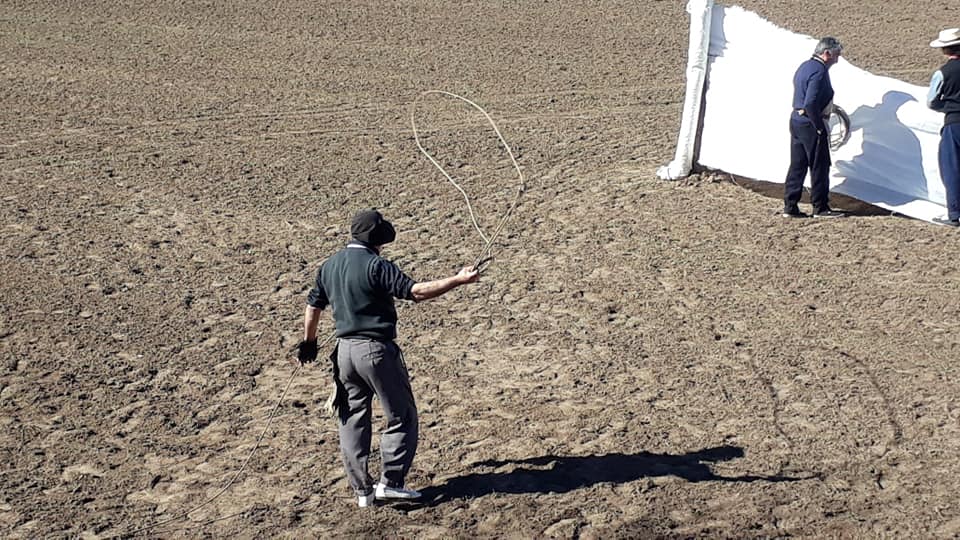 69278169_2642846105727045_6189523365070372864_n