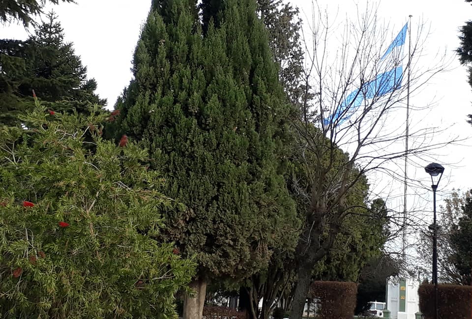 Día de la bandera 20