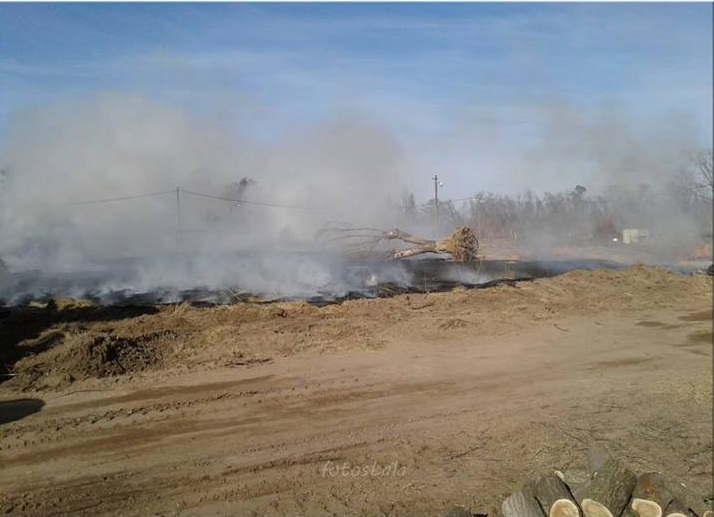 NATATORIO RECUPERACION 11