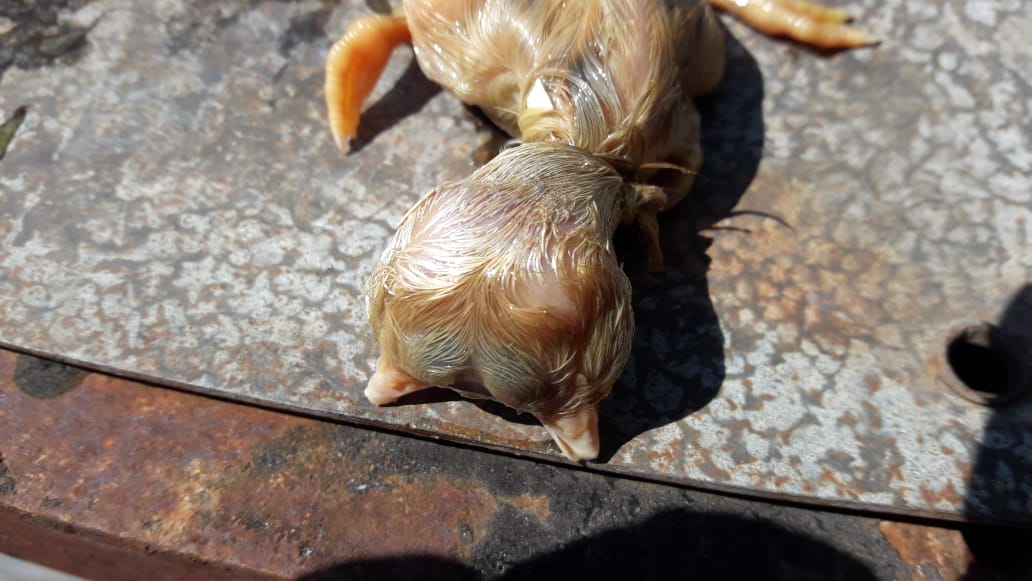 0d1256f2-0fb3-41dc-b452-a948d56cd39f