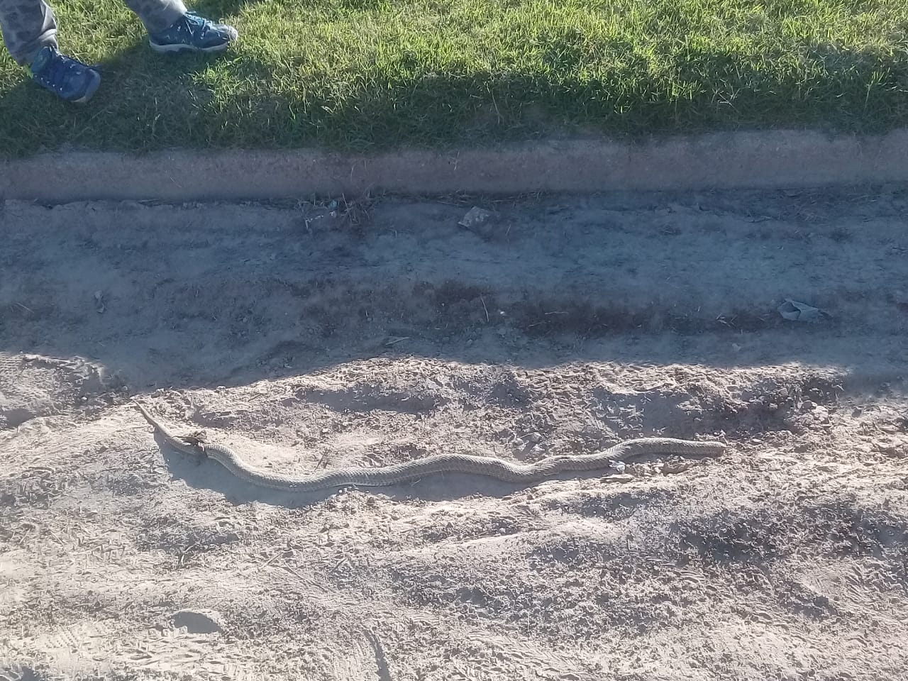 323e8ac5-2a3e-44e0-87fe-3518c5ac5d40