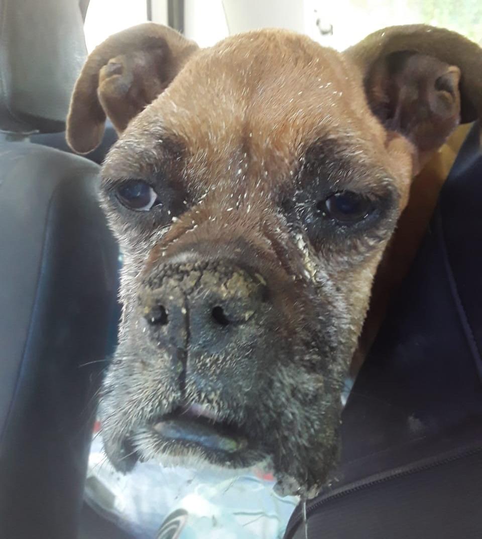 a8588122-f012-4c31-9ba6-09bf5ba8aecb