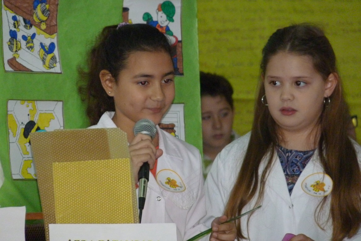 P1380815 (FILEminimizer)