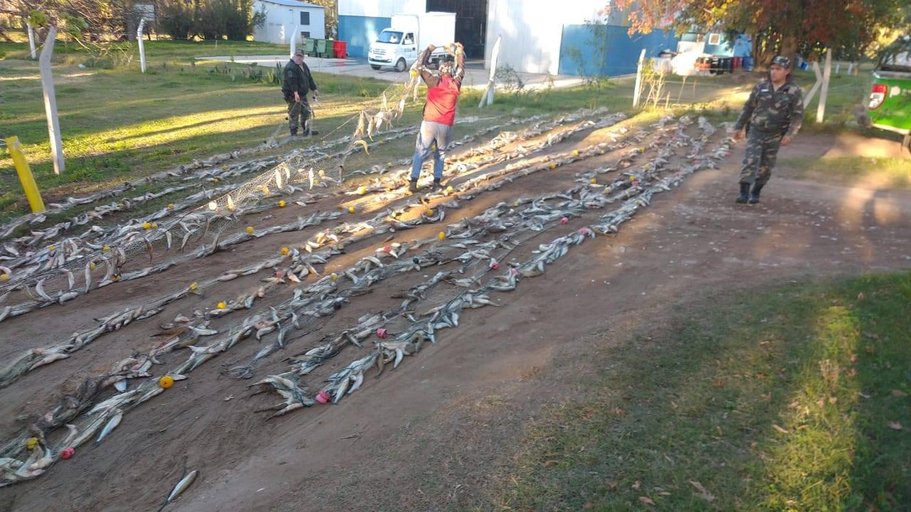 98030116_660184871504750_8290421749078556672_o