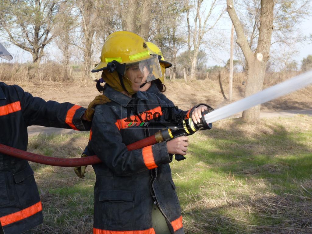 P1210582 (FILEminimizer)