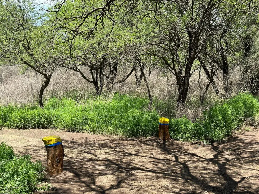 407285738_18206548255263989_4827428195838440922_n-1024x768