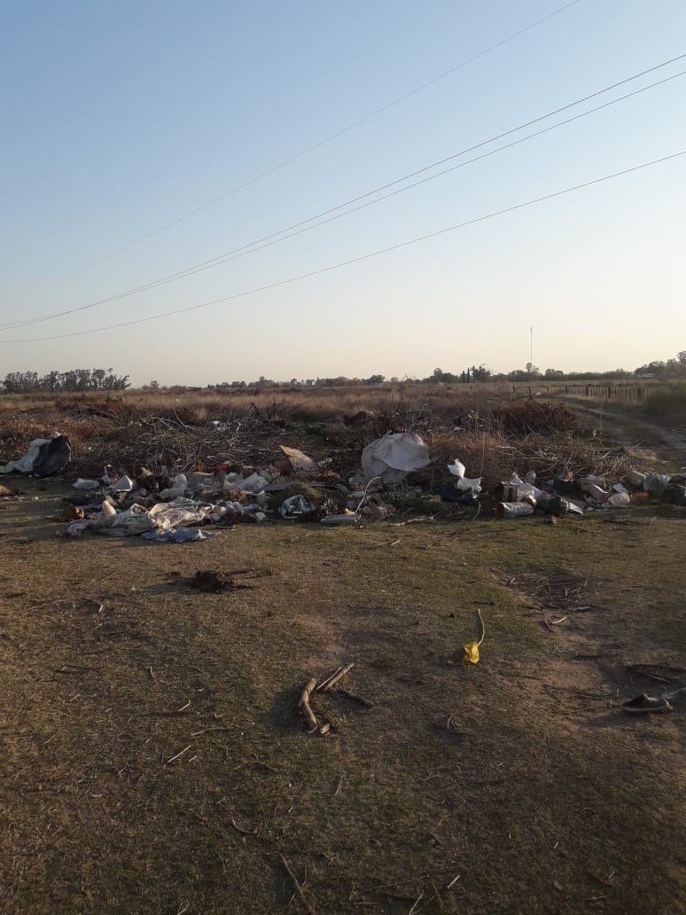 74e9b59d-4e4e-4f98-a324-769b4267e31a