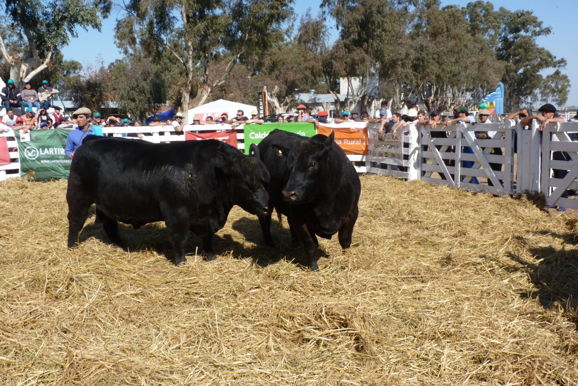 P1410873 (FILEminimizer)