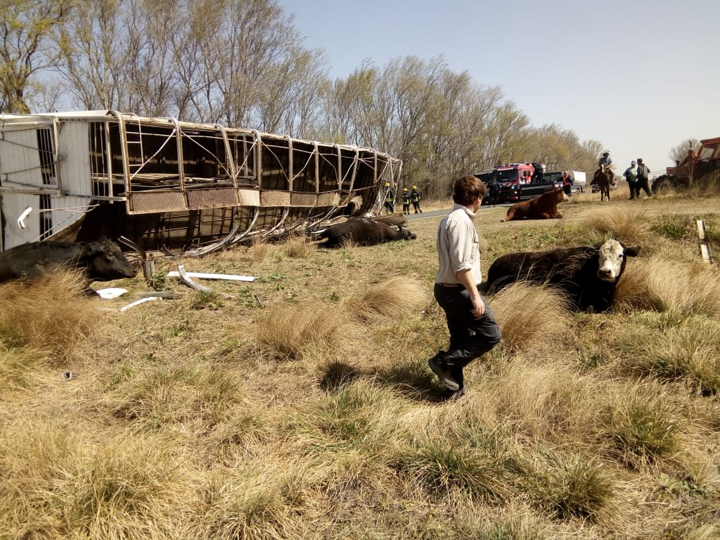 135a043d-5538-477f-a42a-79a24692b869