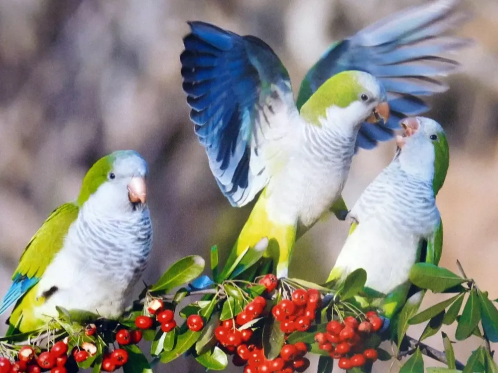 turismo 14 (FILEminimizer)