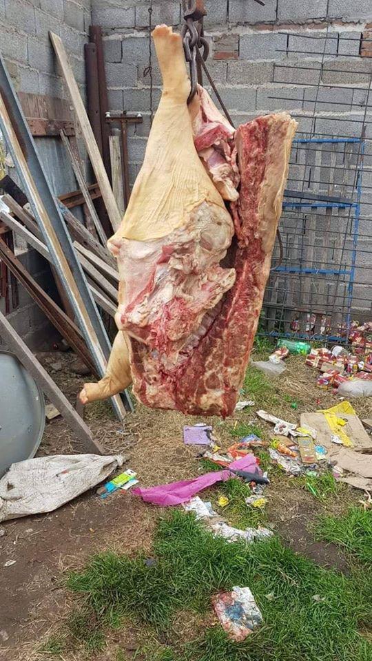 107826572_3952444011496741_6718210543464739216_o