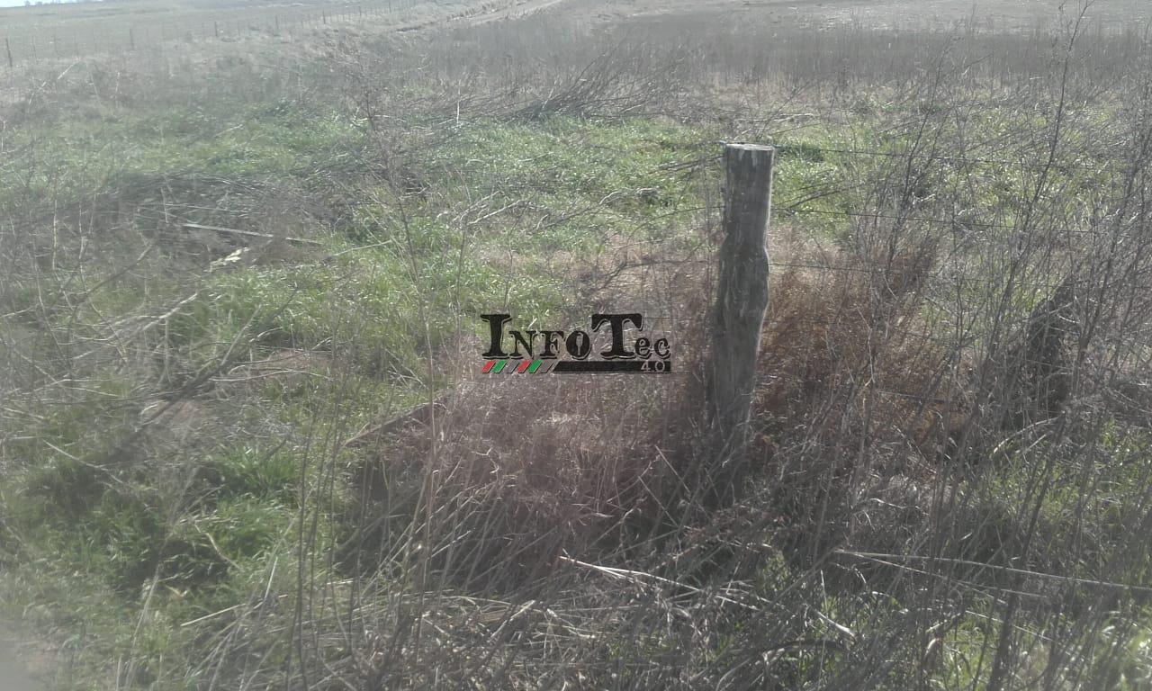 7909fe80-9eee-48a9-9911-d3ca285fb42a