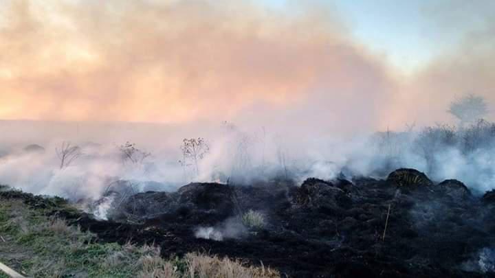 9f824a48-81bb-4dfd-ab04-4069b2bbf213