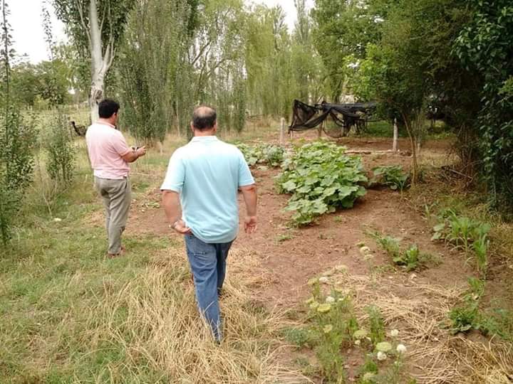 FB_IMG_1576063661101