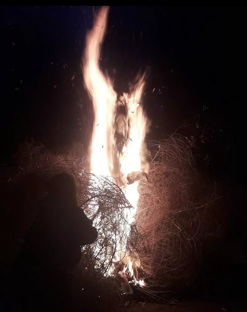 e4105adf-206c-4f36-ae00-a81a5b9ee67f