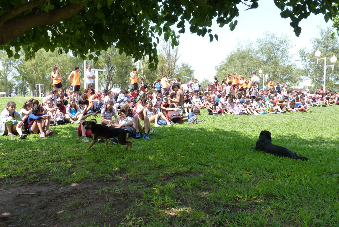 P1460290 (FILEminimizer)