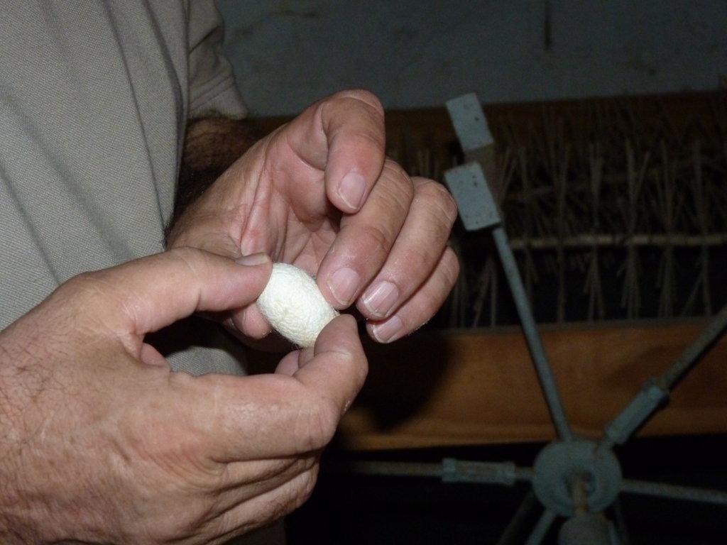 P1350697 (FILEminimizer)