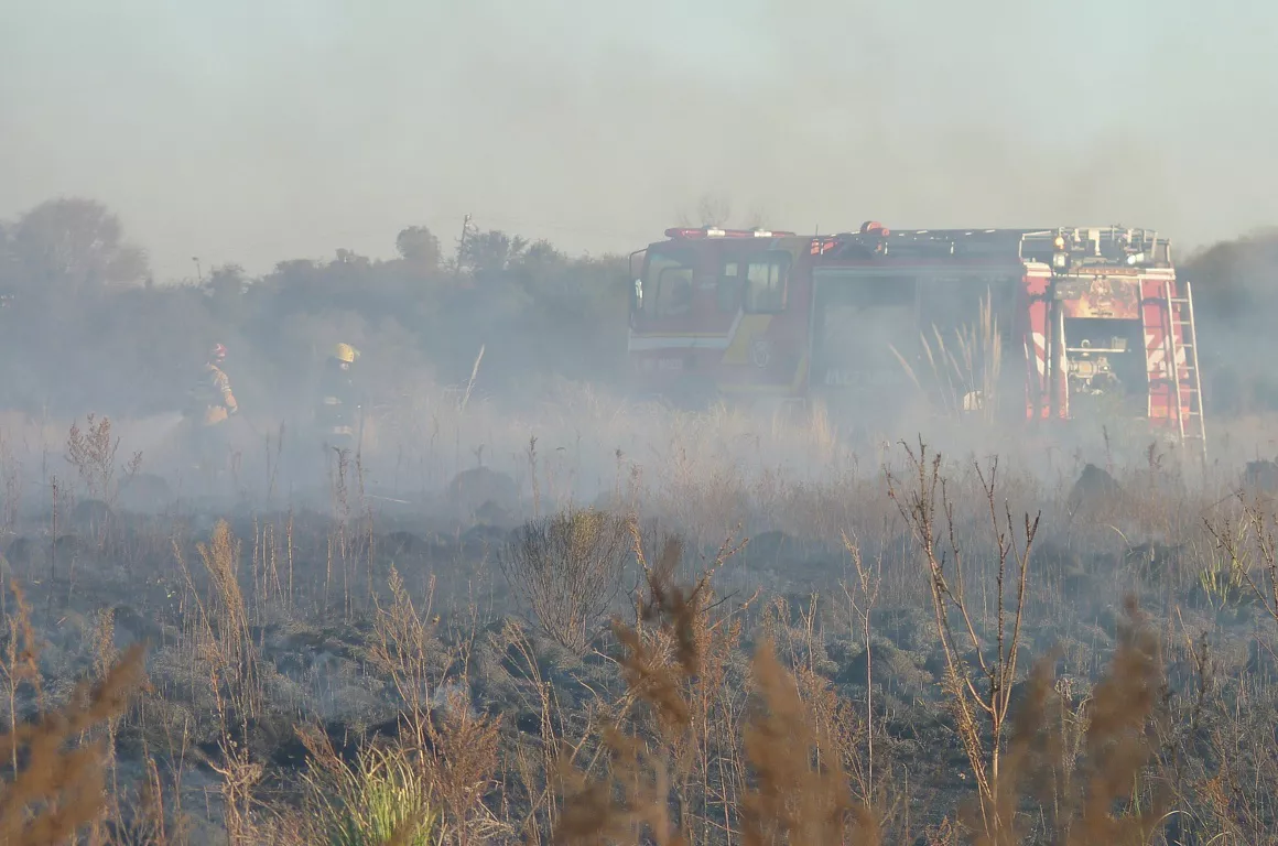 incendio caldenia 6 (FILEminimizer)