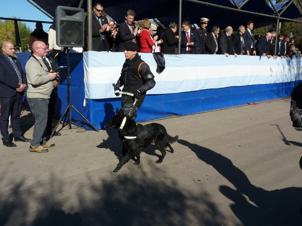 P1200463 (FILEminimizer)