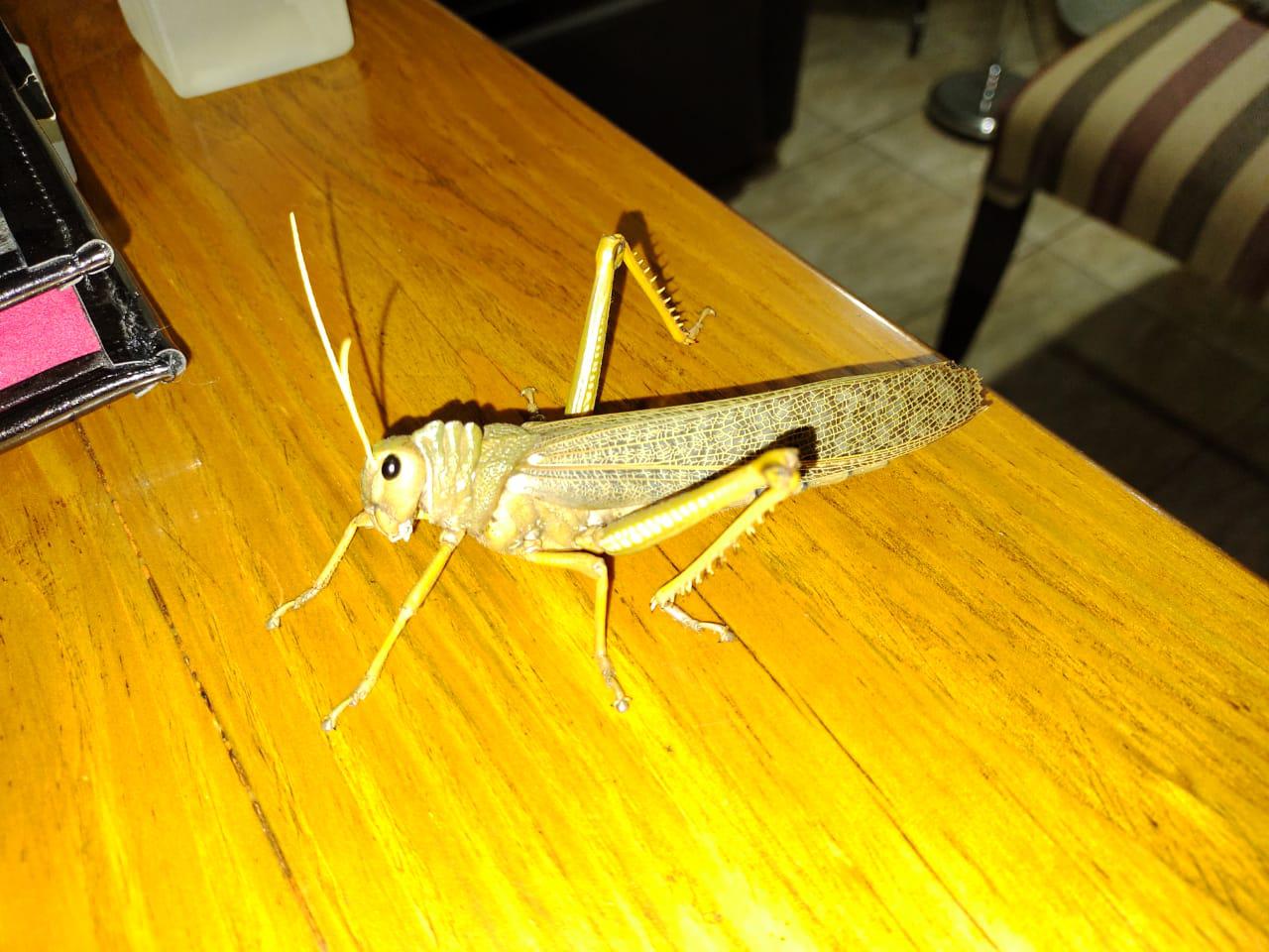 c3178741-365e-4814-985c-b9ec3e548929