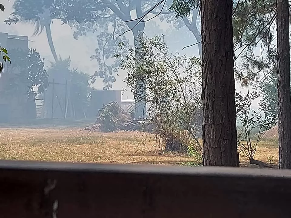 272104632_4967218933339541_1643440413160529328_n