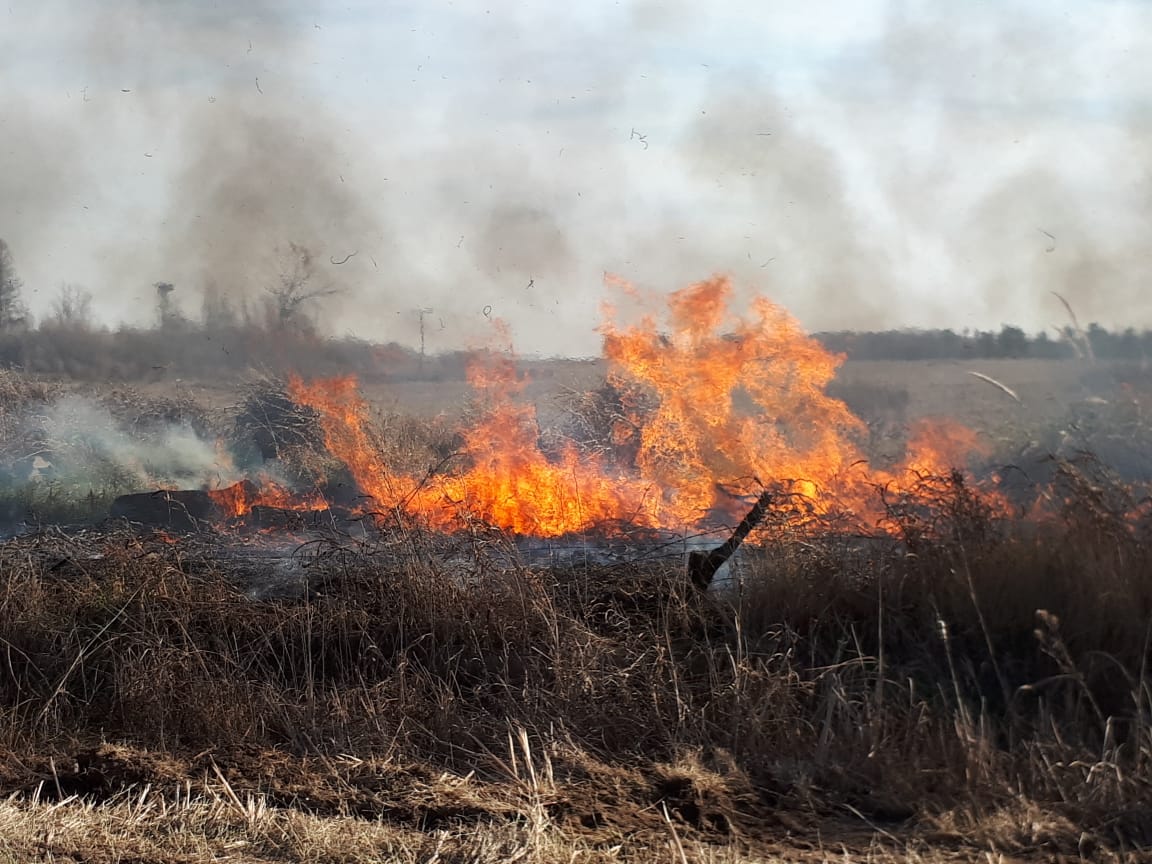 e791260b-2dcf-4fdd-89f0-3a0ca0158bdf