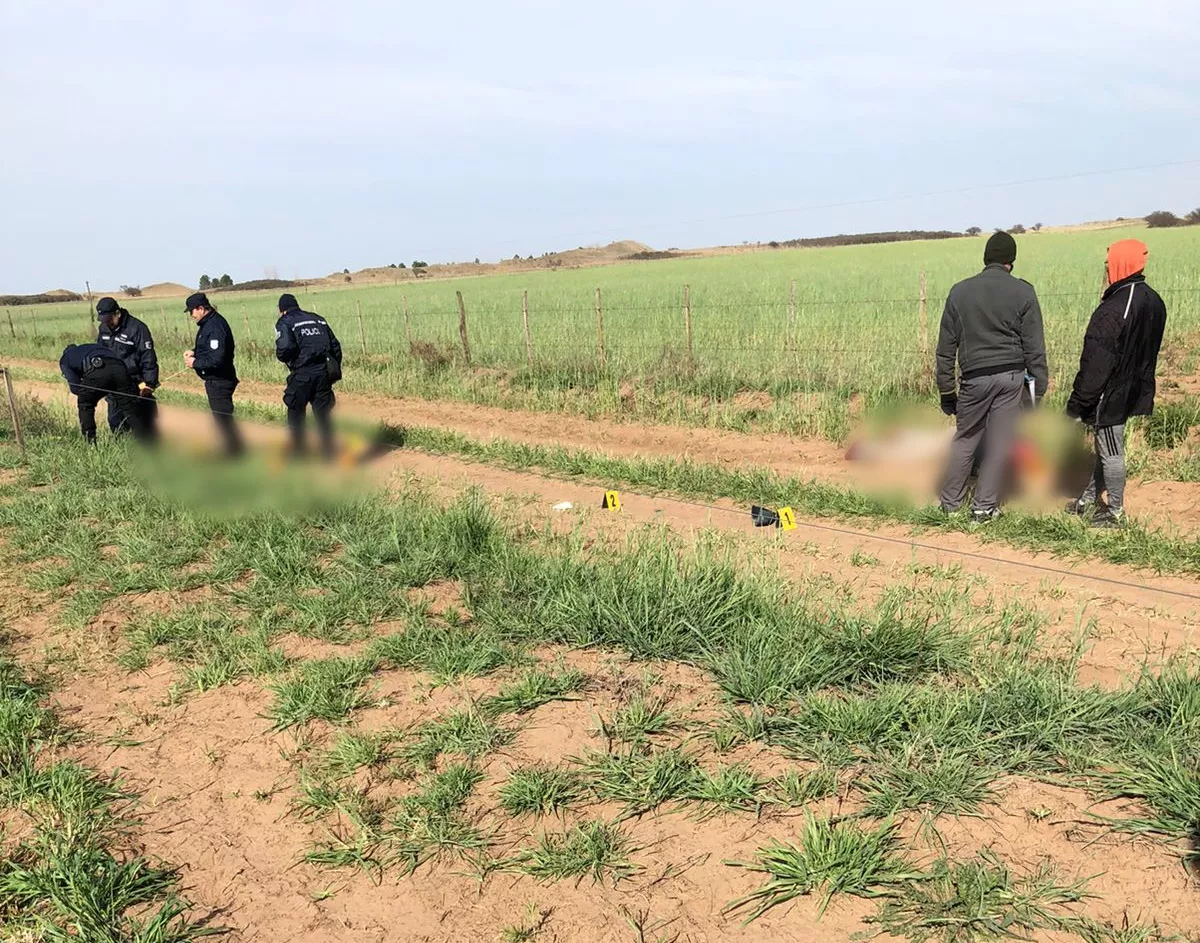 7db9d895-ba07-4547-894c-50b962f97ba7